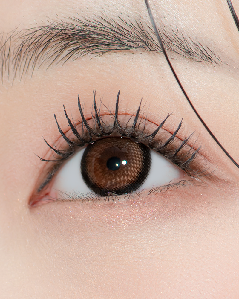 [日拋] SIESTA Blur Basic 1 Day Brown 彩妝隱形眼鏡｜每盒10片