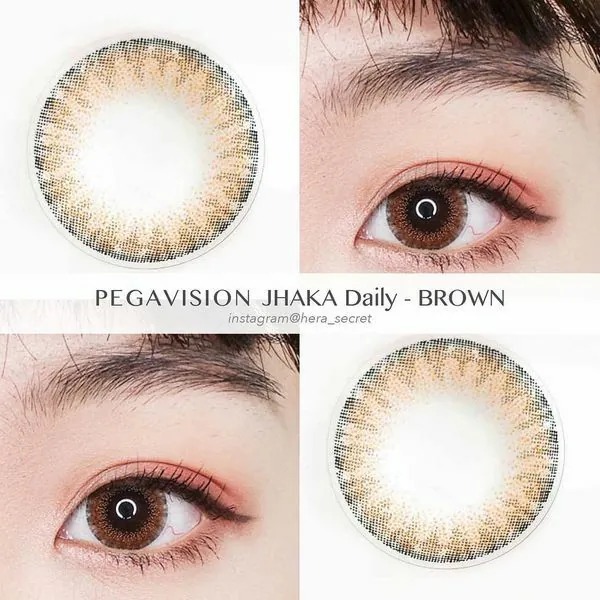 晶碩 Pegavision JHAKA 札佧 1 Day Brown 恬漾金棕｜日拋彩妝隱形眼鏡｜每盒10片