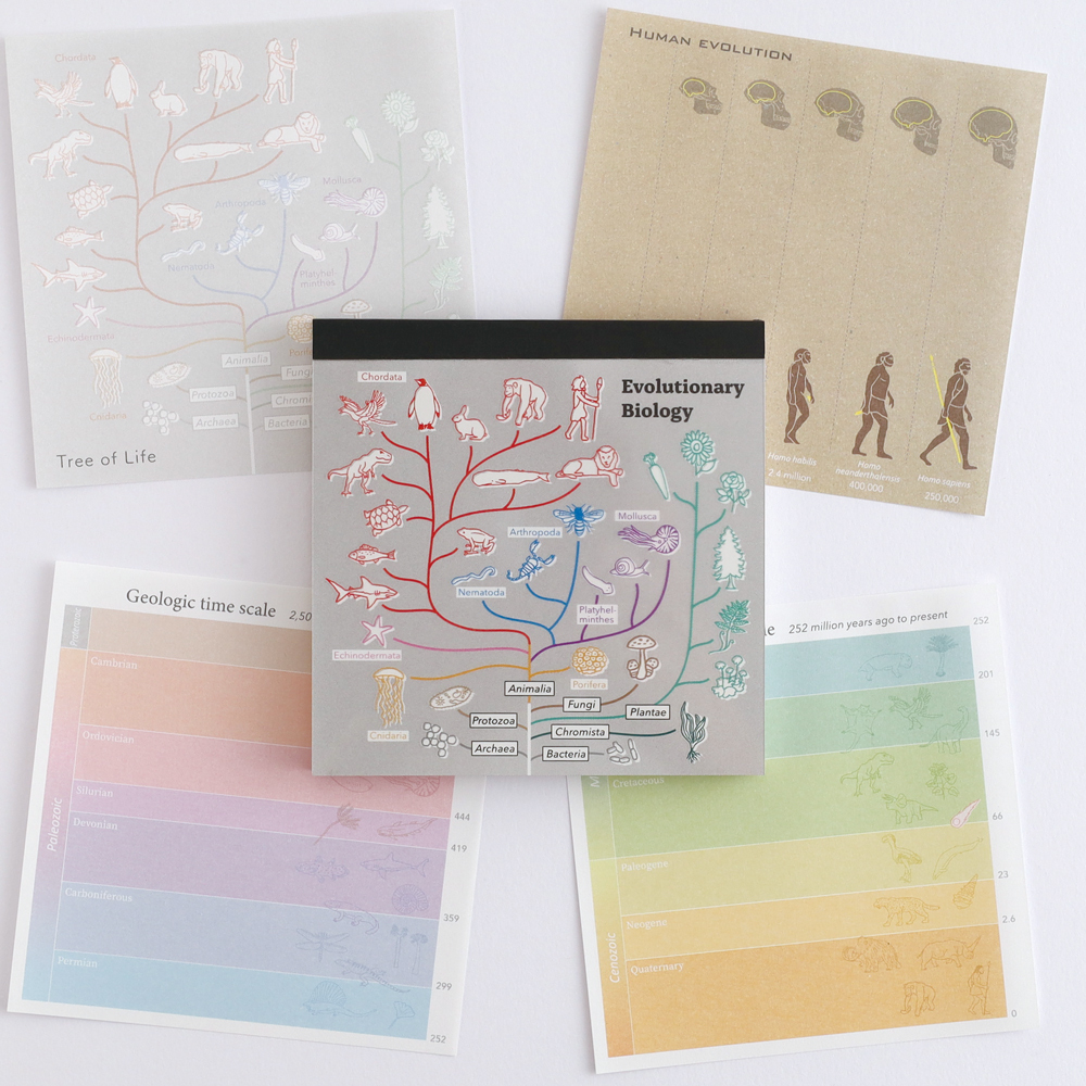 演化生物學 100枚 方形便條本 ｜日本STUDY HOLIC