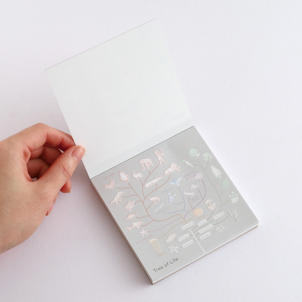 演化生物學 100枚 方形便條本 ｜日本STUDY HOLIC