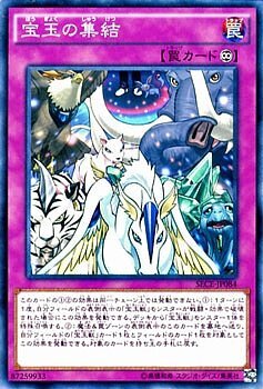 SECE-JP084 寶玉の集結(寶玉的集結)