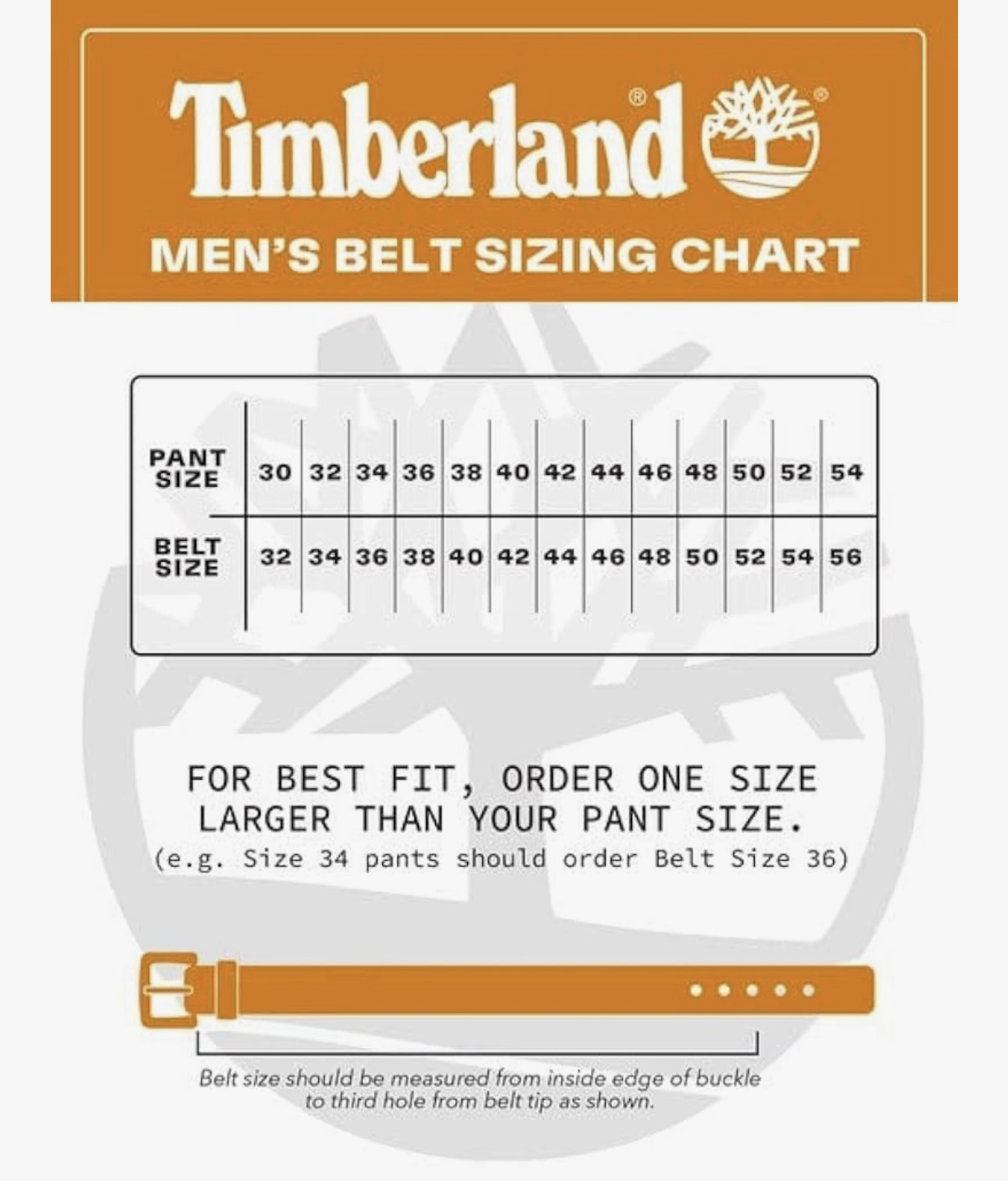 【預購】Timberland LL0705640 真皮皮帶