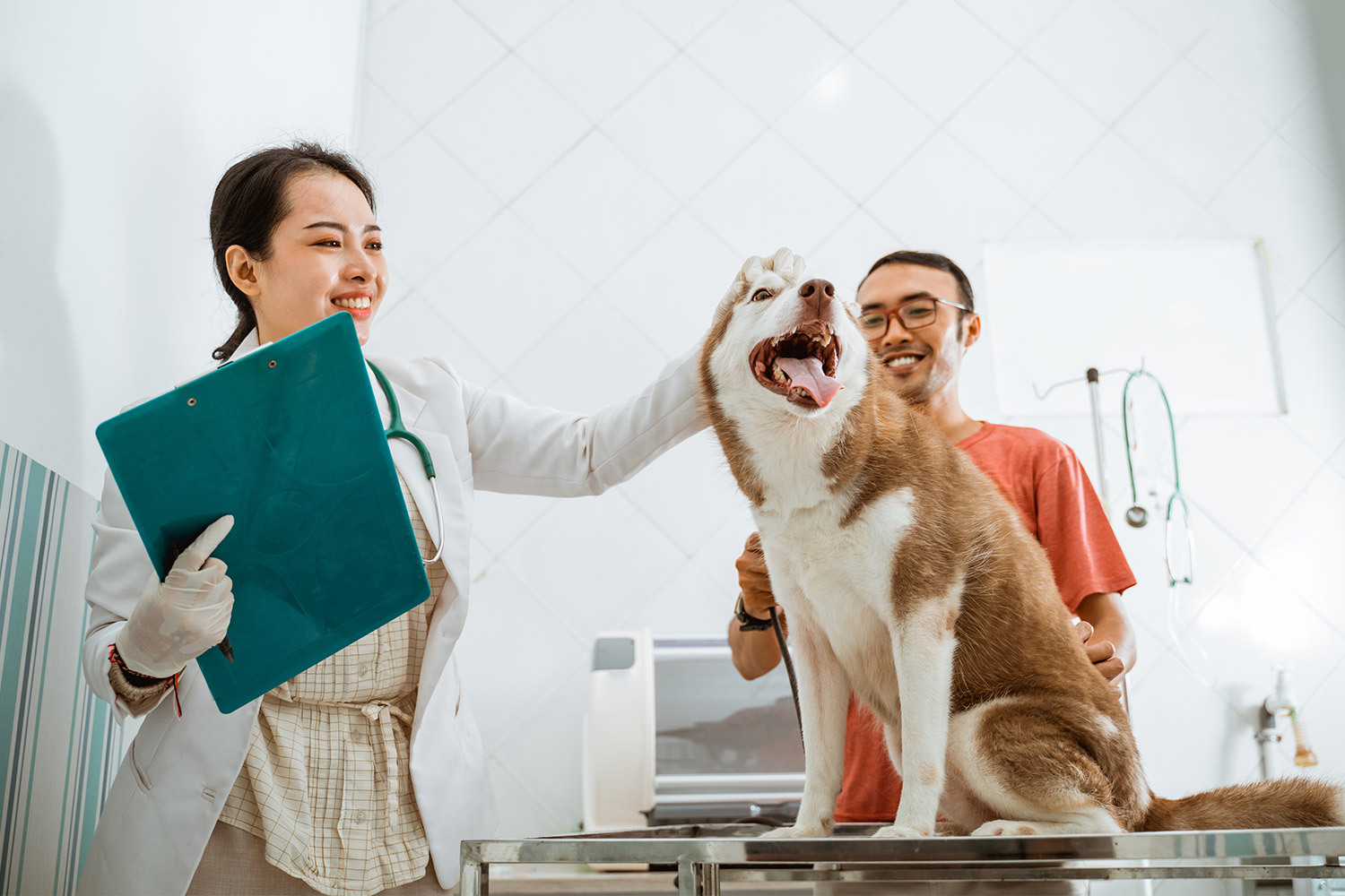 老犬保健品推薦