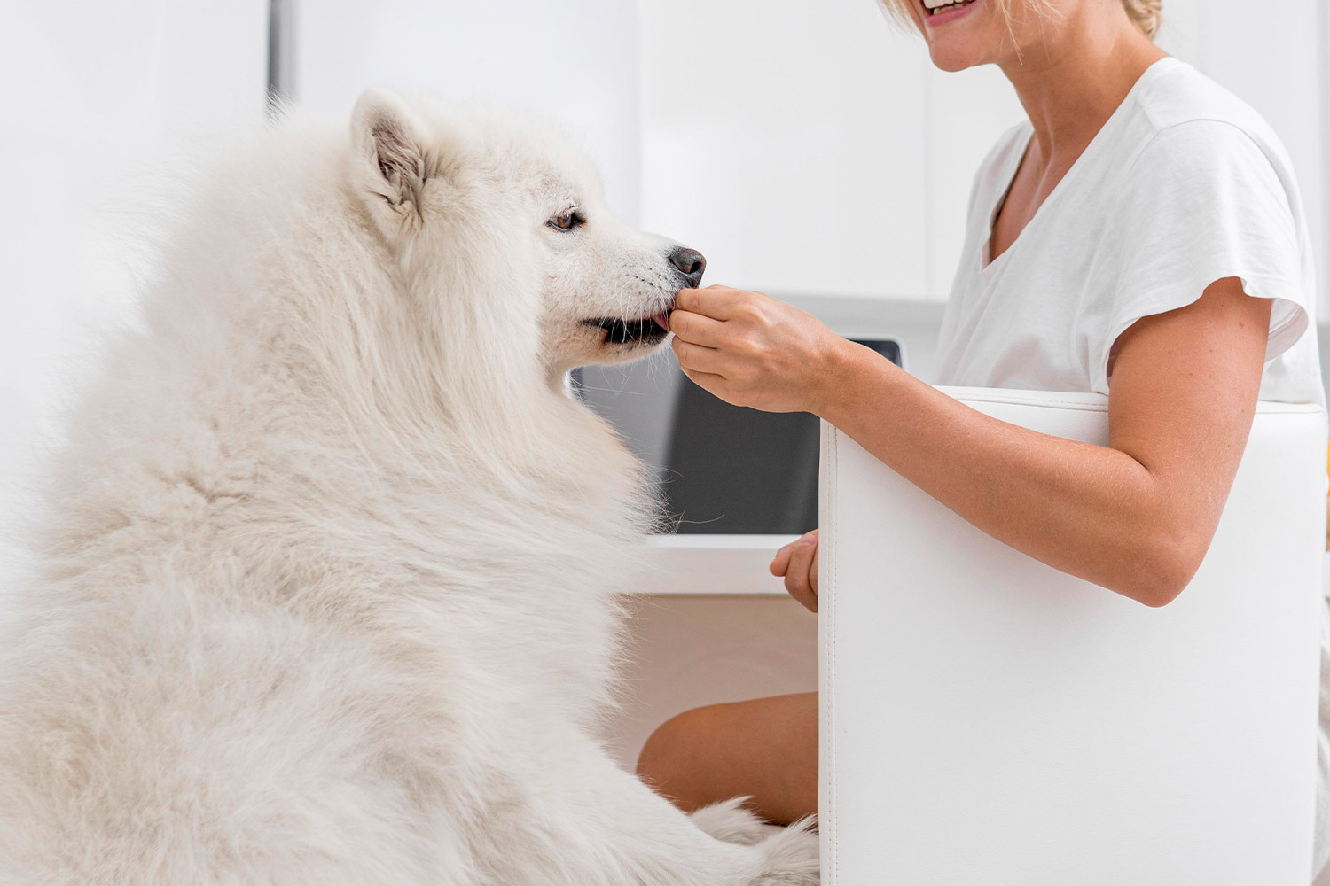 老犬保健品推薦
