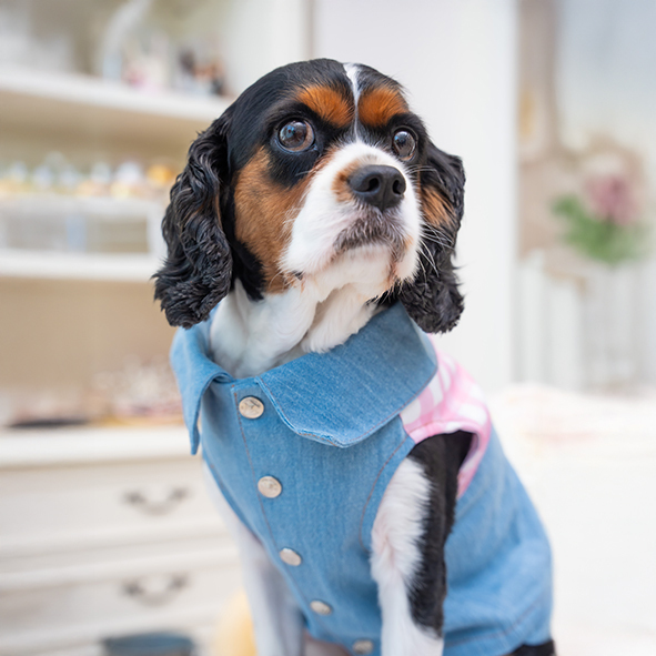 Pink Gingham Denim Vest