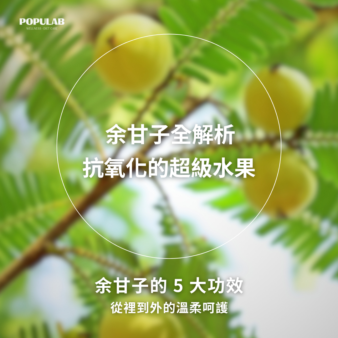 余甘子的五大功效-抗氧化水果