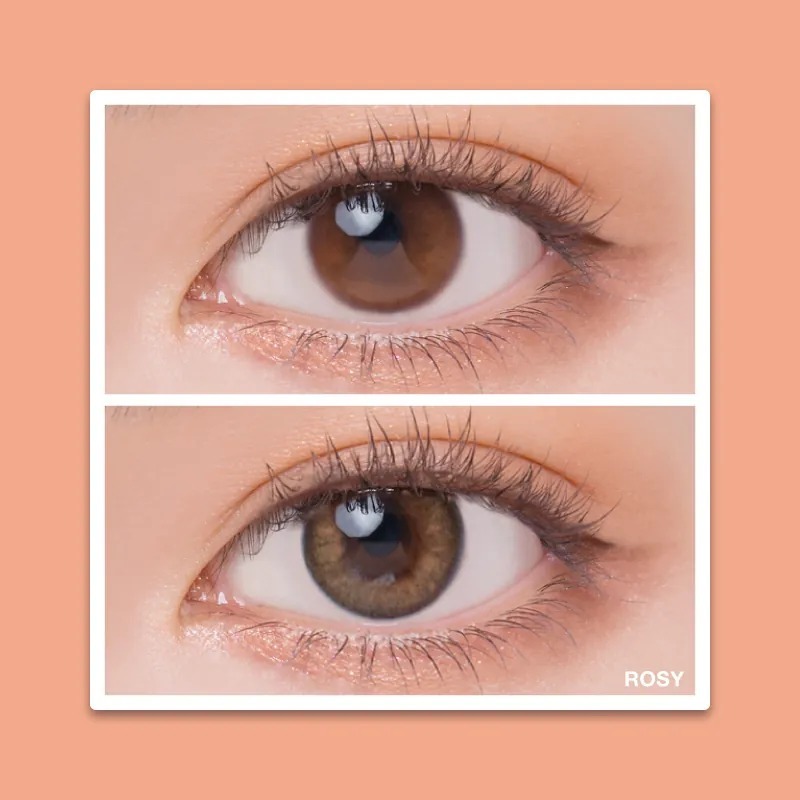 Quinlivan昆凌 聖光系列 1 Day ROSY 玫瑰棕｜日拋彩妝隱形眼鏡｜每盒10片