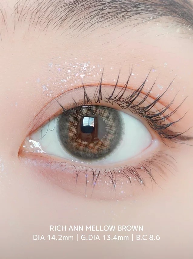 [現貨清貨]ANN365 Rich Ann 1 Day Mellow Brown 迷霧柔啡｜日拋彩妝隱形眼鏡｜每盒6片