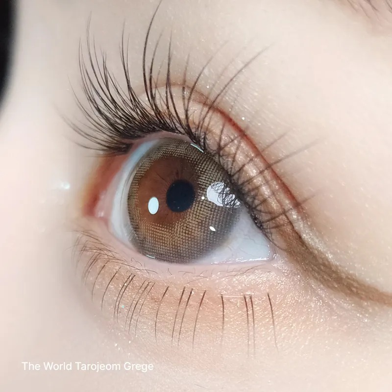 ANN365 The World Tarojeom 1 Day Grege 塔羅米灰｜日拋彩妝隱形眼鏡｜每盒10片