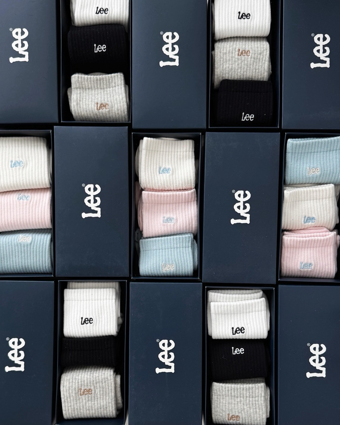 <快速出貨> 🇰🇷韓國限定 LEE 經典LOGO 三入組襪襪禮盒