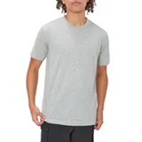 [S] CHAMPION HEATHER GREY MENS TEE, 196988121476 (SZZ629)