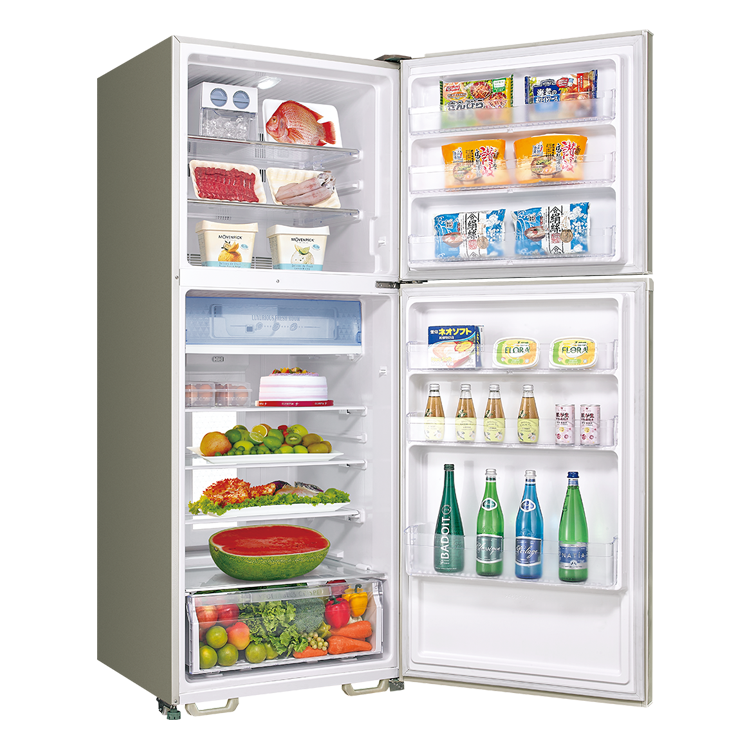 SANLUX 台灣三洋 535L -3°C微凍室變頻雙門電冰箱(SR-V532B)