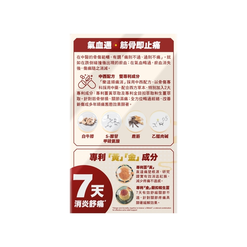 Noto 樂道 頑痛消 60粒 (A6)