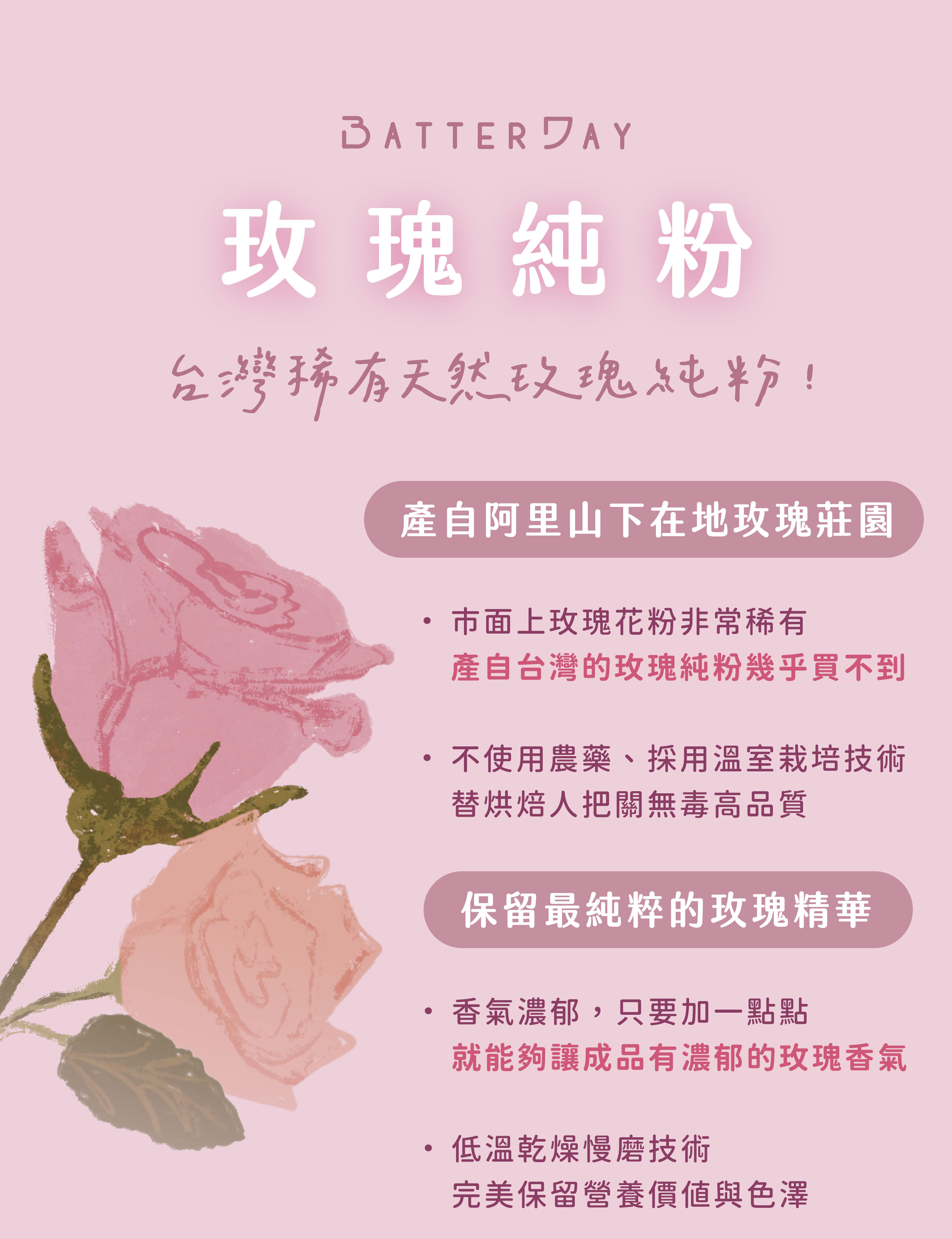 “焙日玫瑰粉介紹1”