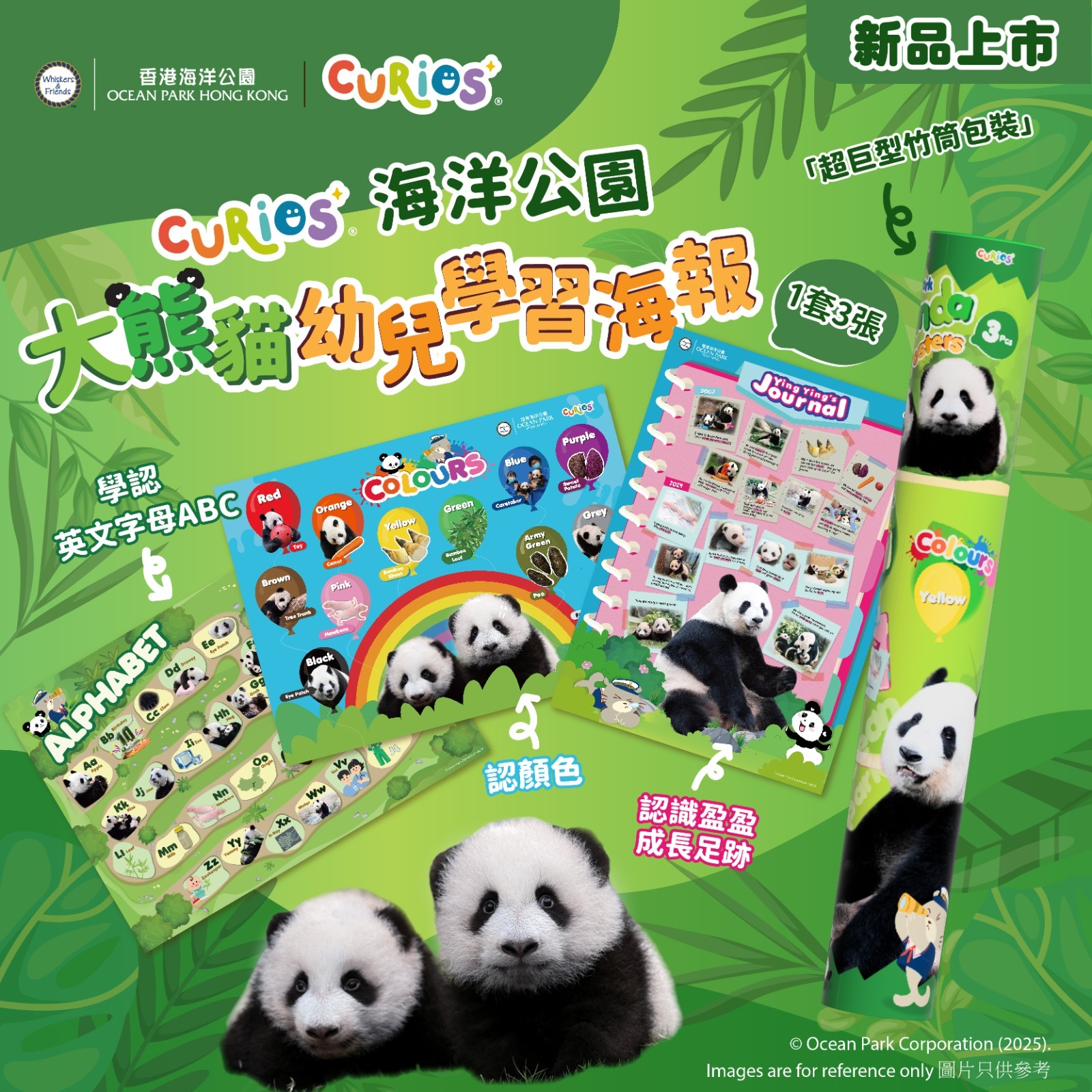 Curios®海洋公園 大熊貓幼兒學習海報（1套3張）