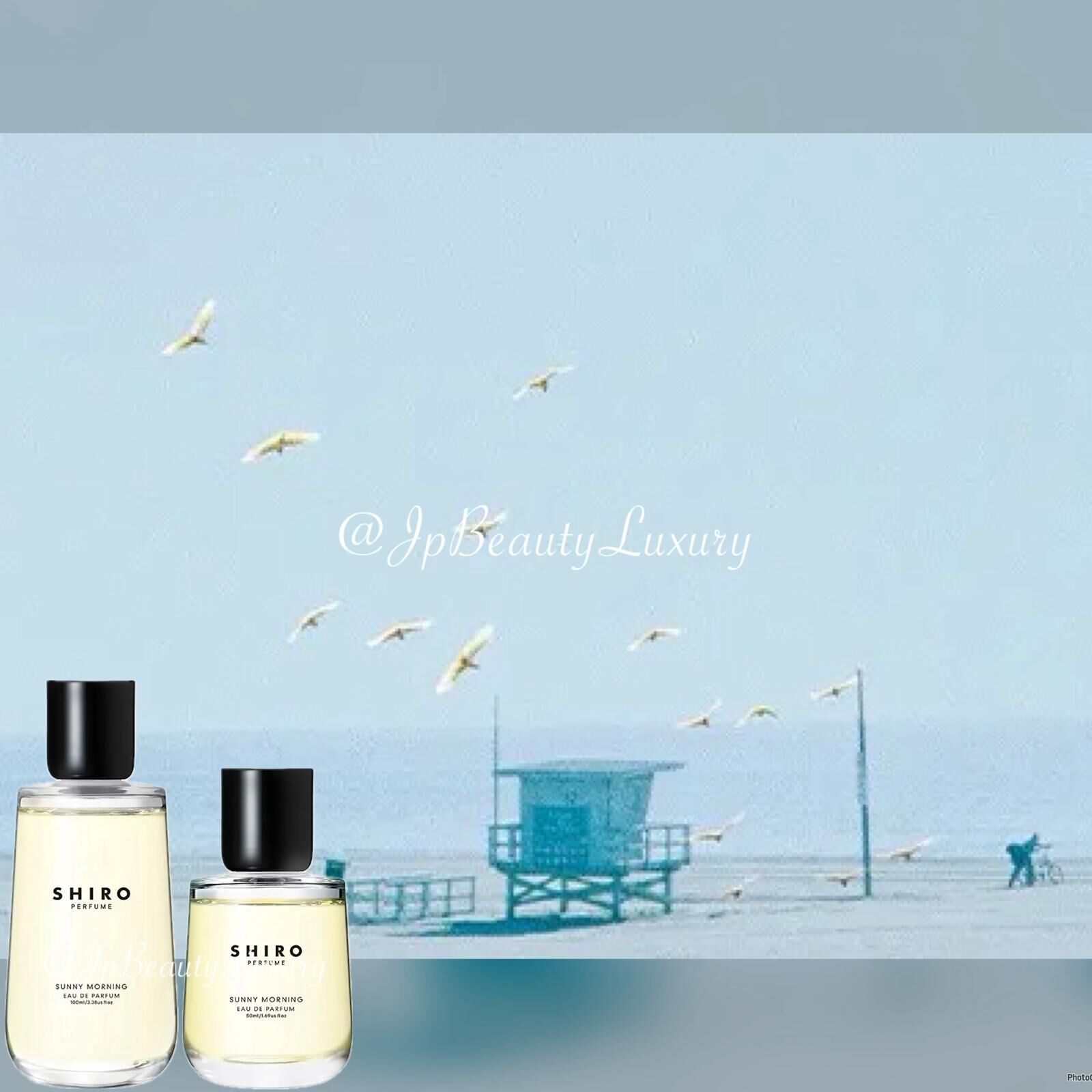 日本Shiro 2025 Sunny Morning NEW EAU DE PARFUM