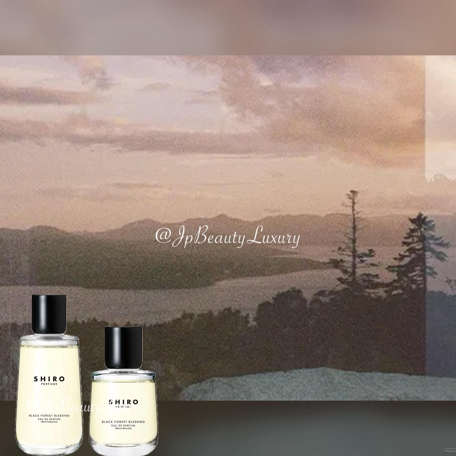 SHIRO BLACK FOREST BLESSING 50ml シロ 香水 シロ」の香水シリーズに