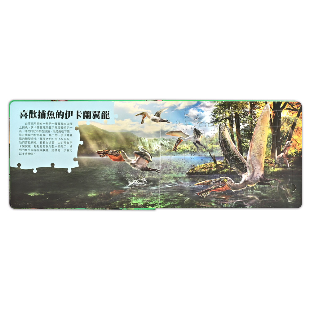 PNSO翼龍知識百科拼圖