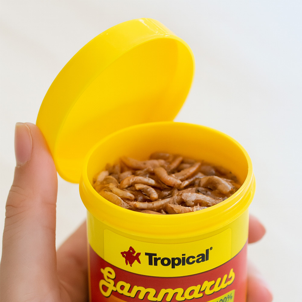 比起他牌乾蝦，飼養時更安心，維護水族箱清潔，讓飼主省心又放心。