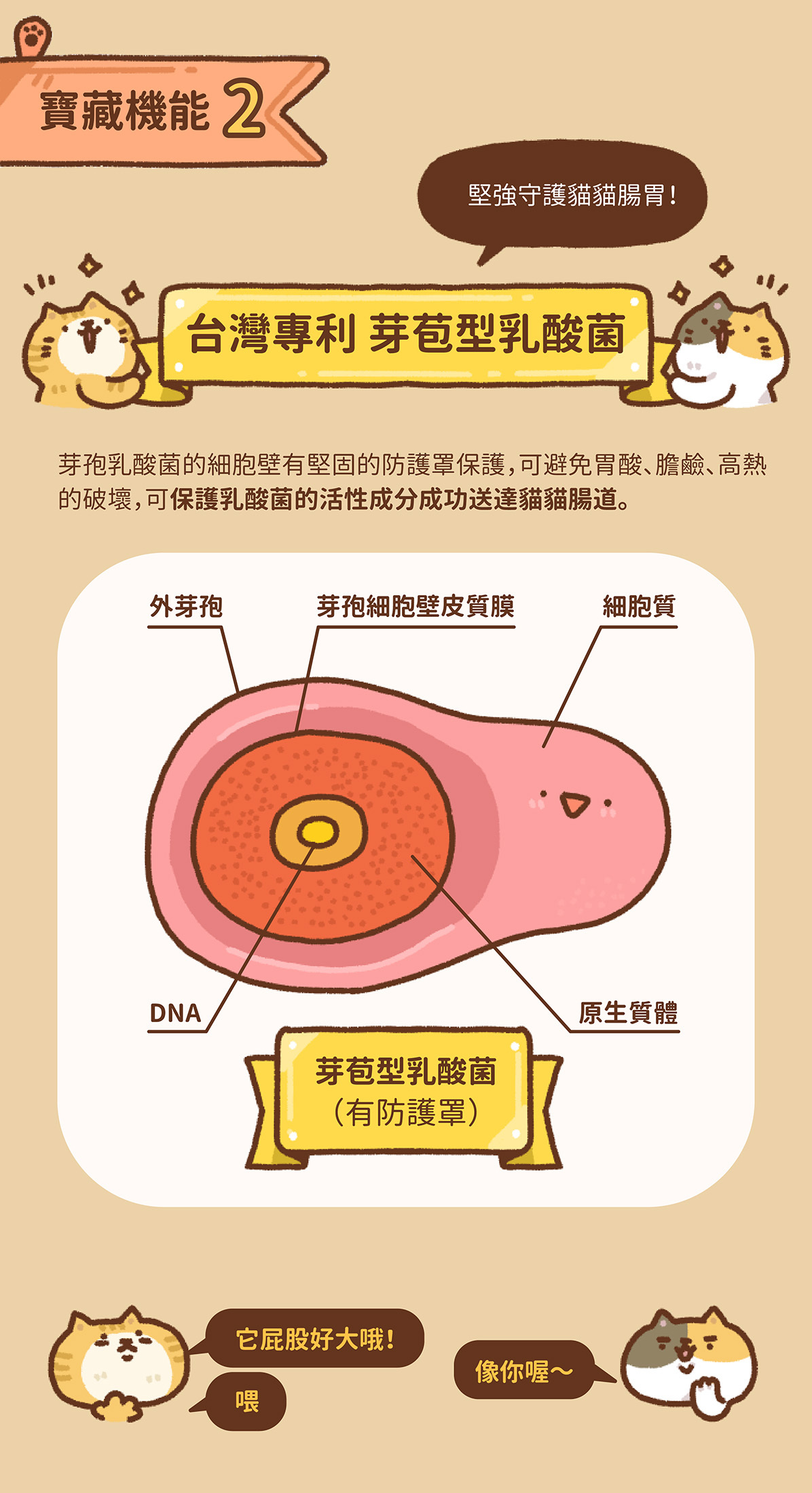 貓有話說｜尋寶罐 全方位機能主食罐 貓咪主食罐