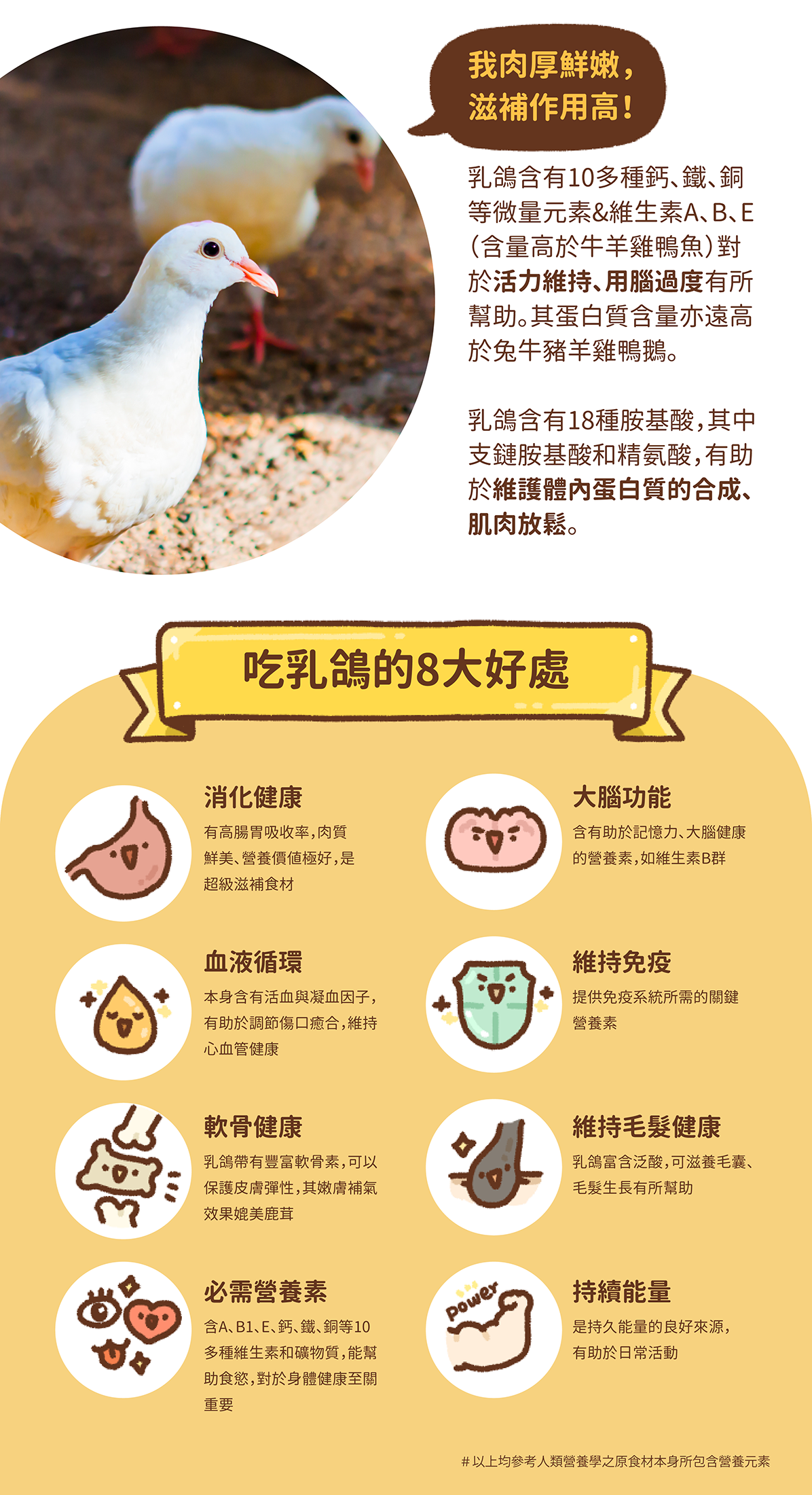 貓有話說｜尋寶罐 全方位機能主食罐 貓咪主食罐