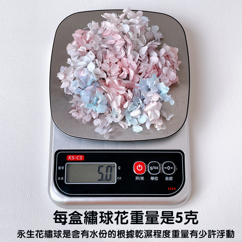 減壓系列-浮游星空瓶DIY繡球乾燥花漸層色5克 SF3803