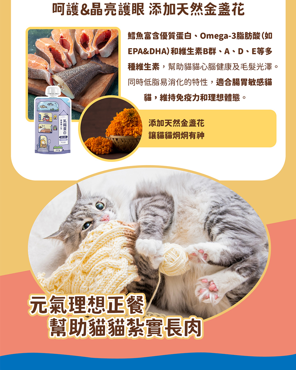貓有話說｜乳鐵蛋白主食餐包  貓咪主食餐包