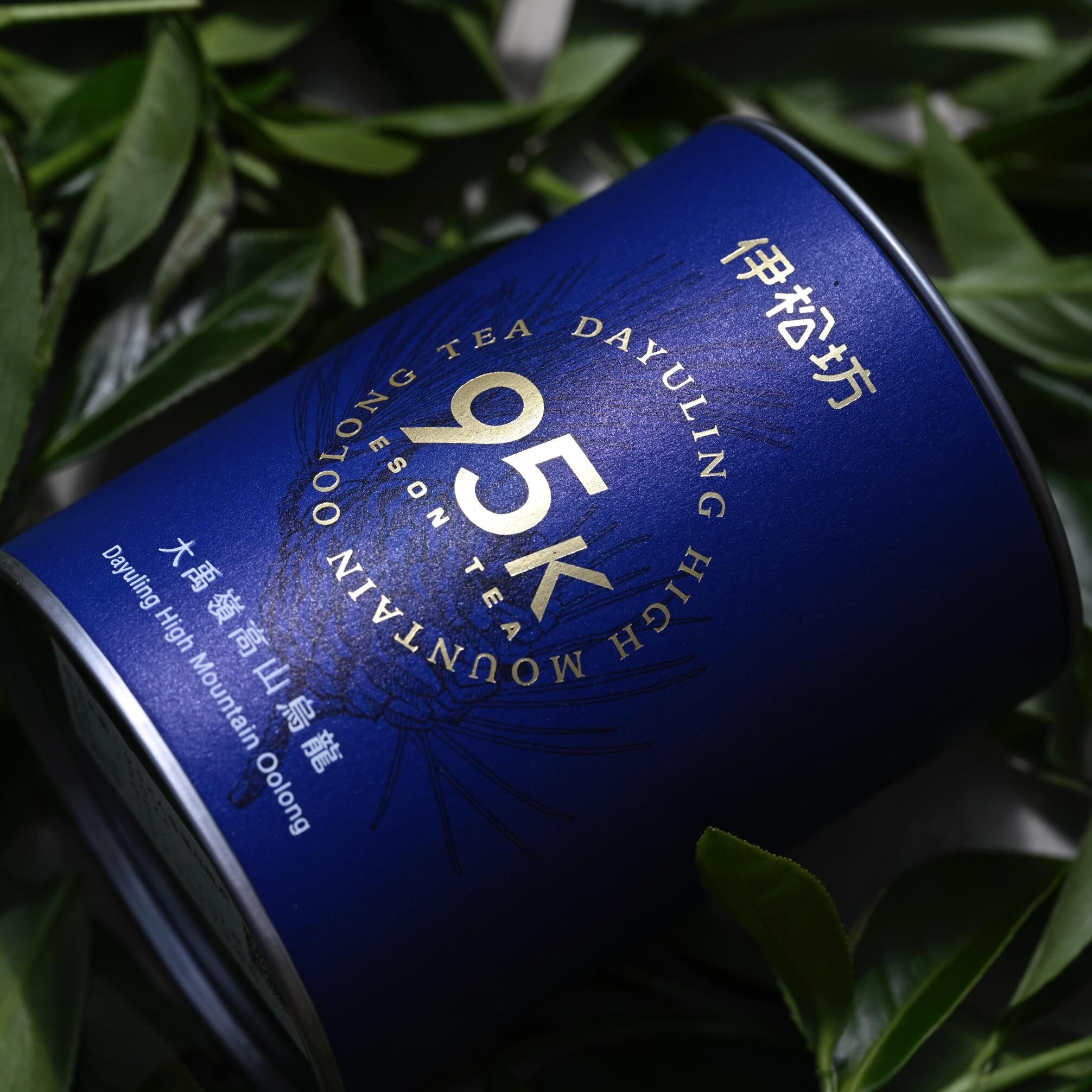 獨家聯名｜大禹嶺95K高山烏龍春茶