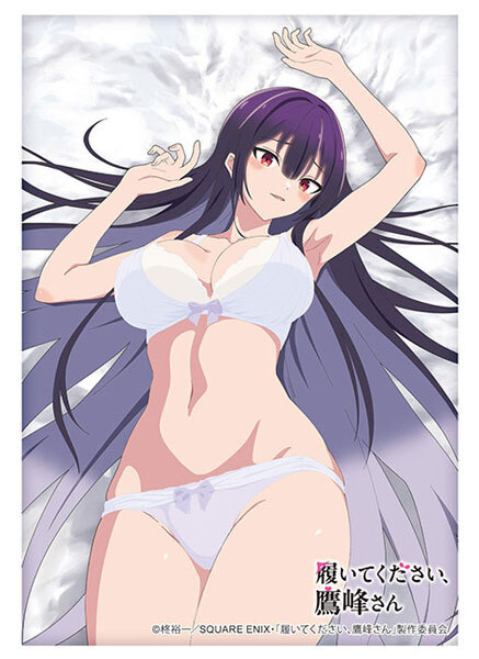 HG卡套 拜託請穿上，鷹峰同學 鹰峰高岭 Vol.4837