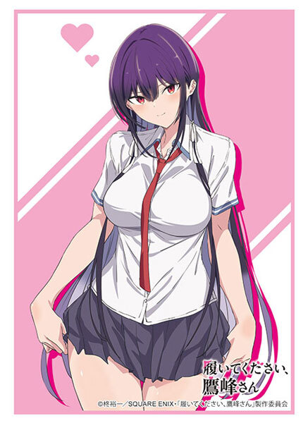 HG卡套 拜託請穿上，鷹峰同學 鹰峰高岭 Vol.4836