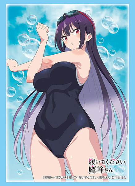 HG卡套 拜託請穿上，鷹峰同學 鹰峰高岭 Vol.4838