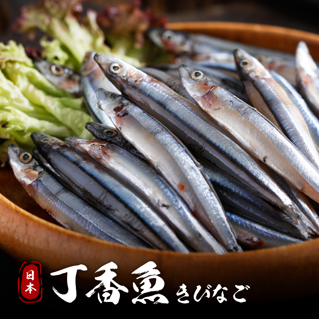 日本 丁香魚（ 銀帶鯡 ）