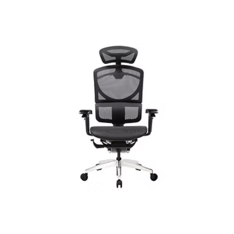 GTChair ISEE X 人體工學電腦椅