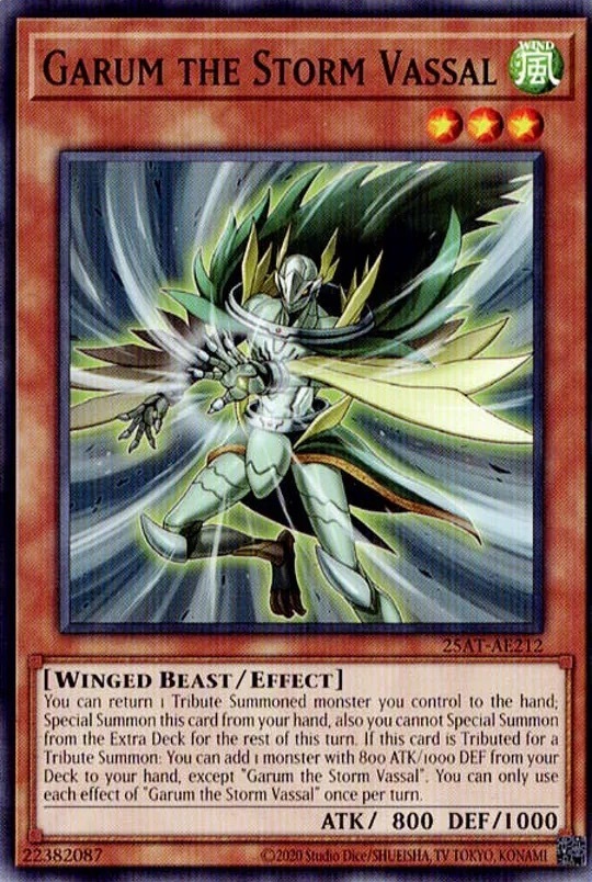25AT-AE212 Garum the Storm Vassal