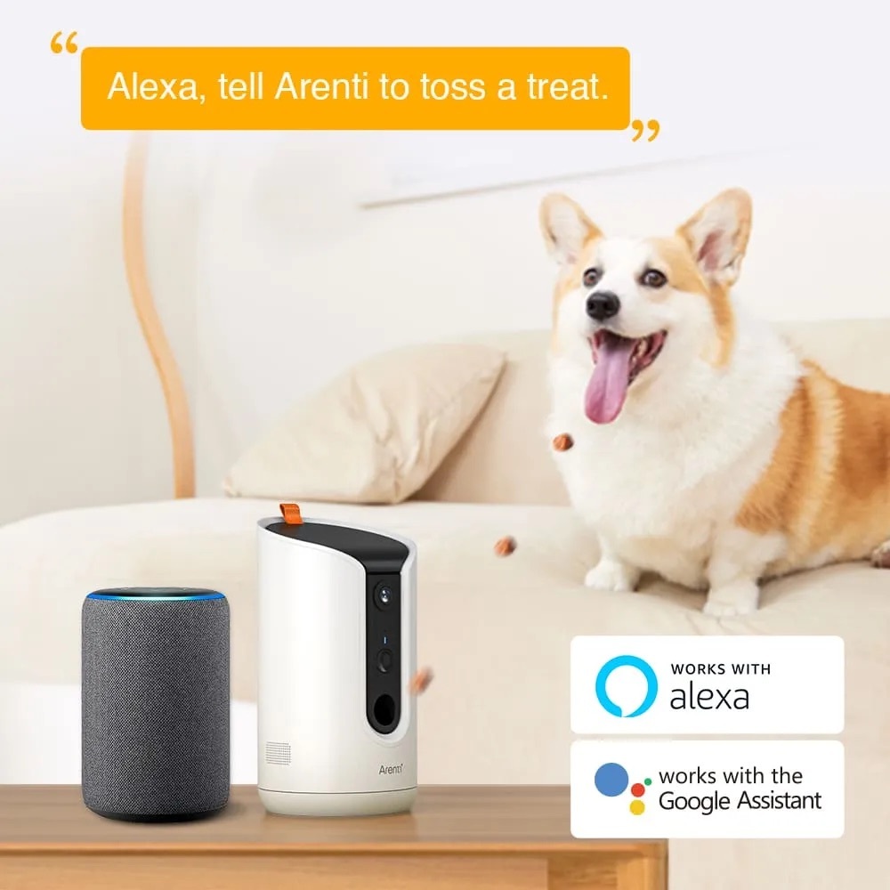 Arenti Petcam 1T 智能寵物監控鏡頭|零食投食器|貓狗適用|限時再送SD卡