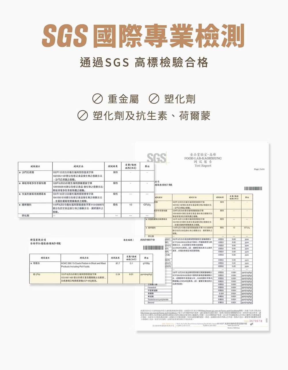 ALL IN乳清｜分離乳清系列｜摩卡可可