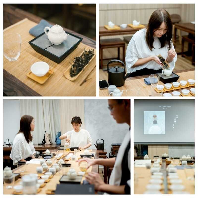 沏茶專研—白茶專題課堂實況｜瑜茶舍