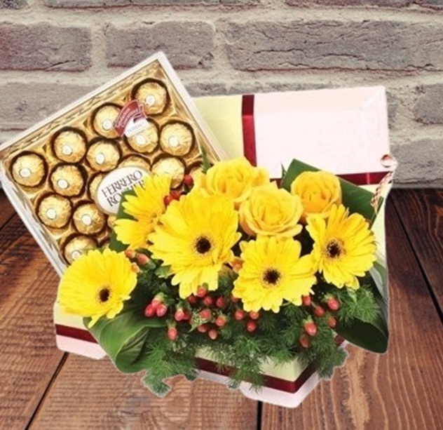 HS17 ⭐⭐⭐⭐⭐free delivery