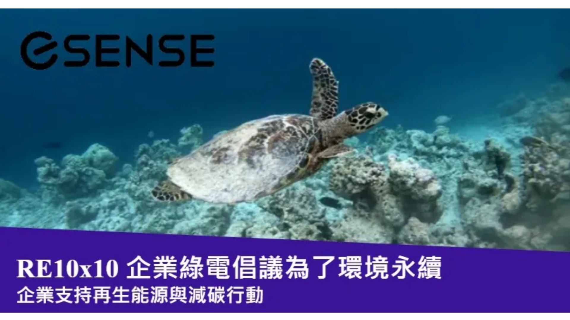 RE10x10 企業綠電倡議 esense & 綠色和平