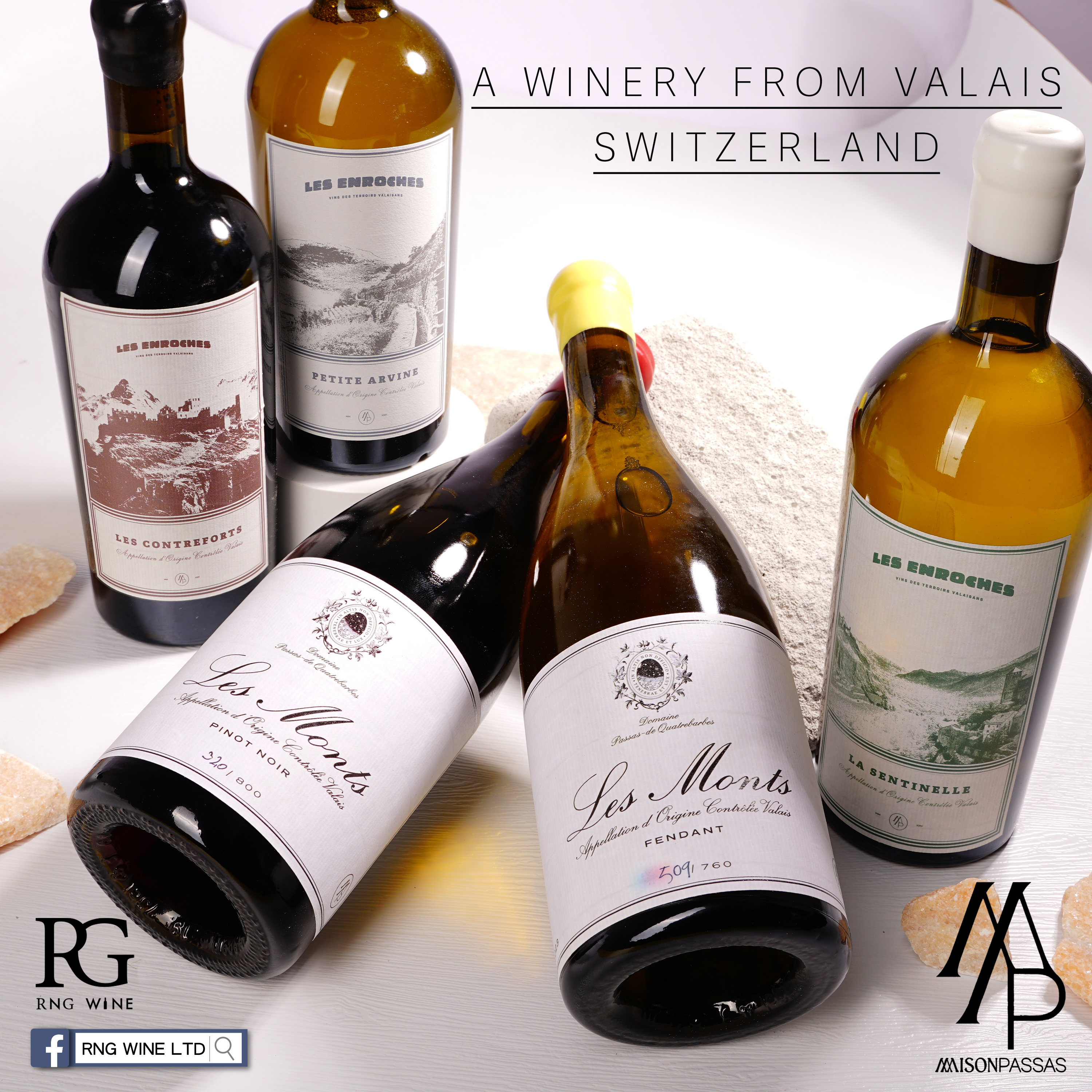 Maison Passas, Domaine Les Enroches Petite Arvine 2023