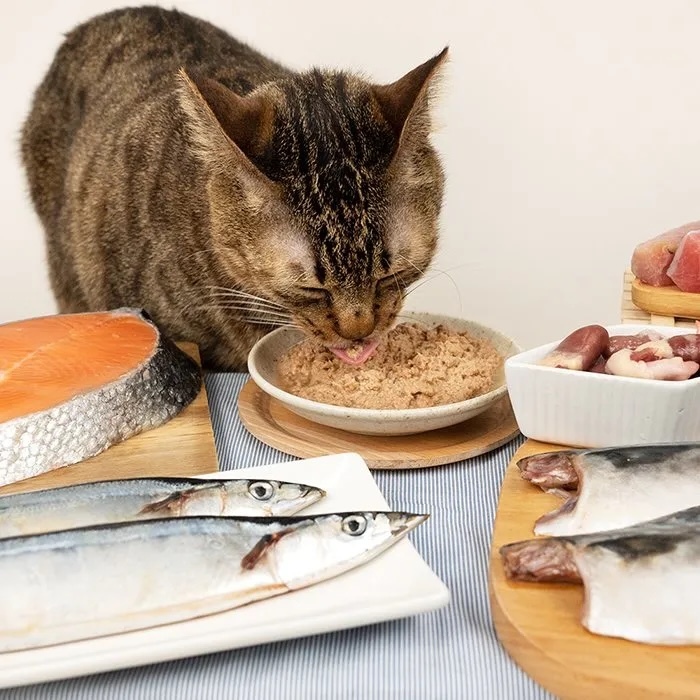 汪喵星球｜挑嘴貓無膠貓咪主食罐 55g/80g/165g