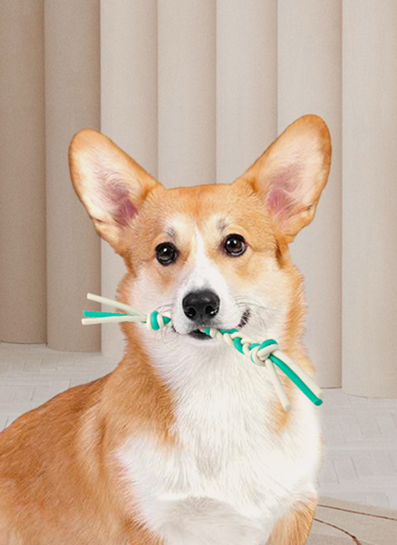 Pawise|扭結繩狗玩具 (NO.14634)