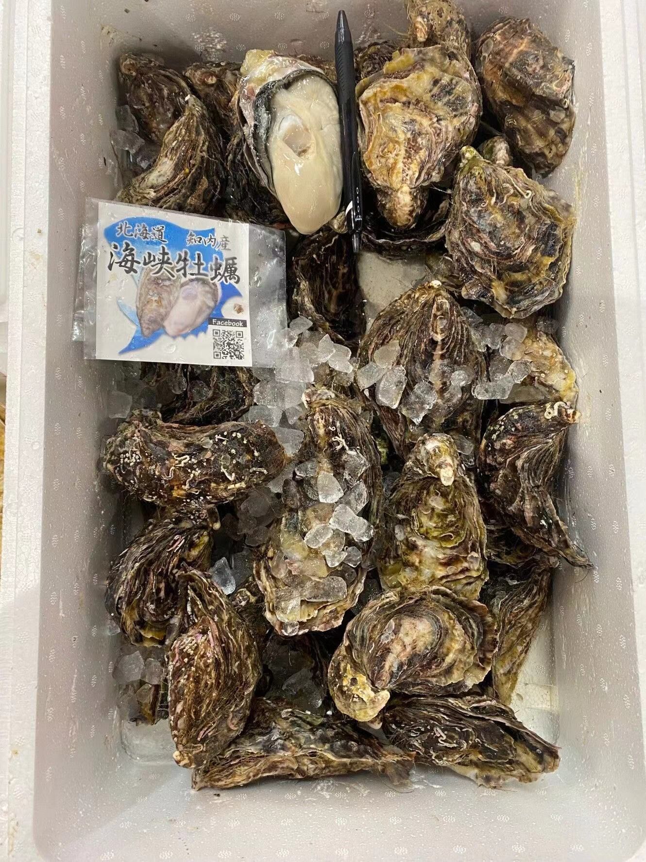 北海道 知内 海峡かき 三倍体 牡蠣
