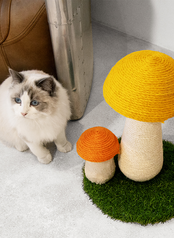 Pawise|2蘑菇貓抓柱40×30cm(NO.28617)