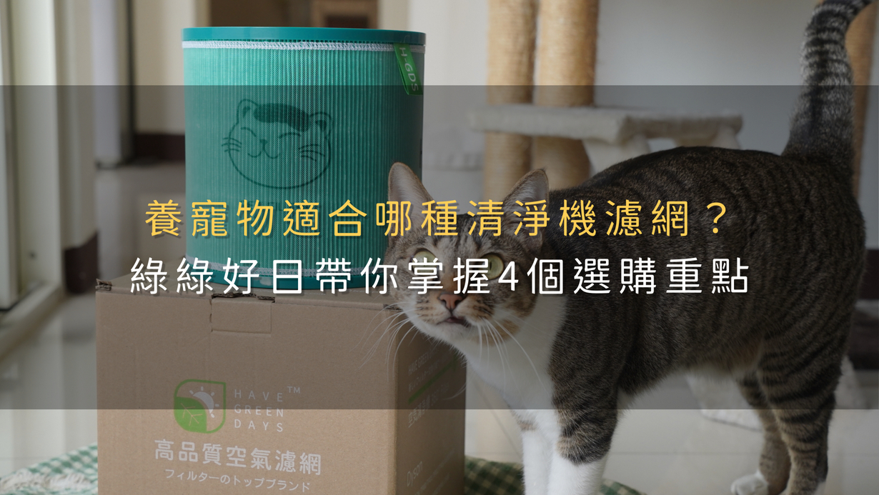 養寵物適合哪種清淨機濾網？綠綠好日帶你掌握4個選購重點