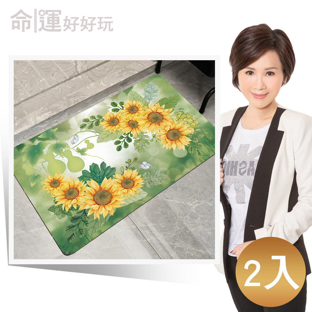 【命運好好玩】九星向陽硅藻土地墊(2入) (廠商直出)