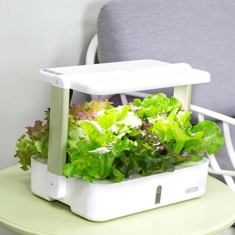 【會員價】Lalagoon喇喇棍水耕機