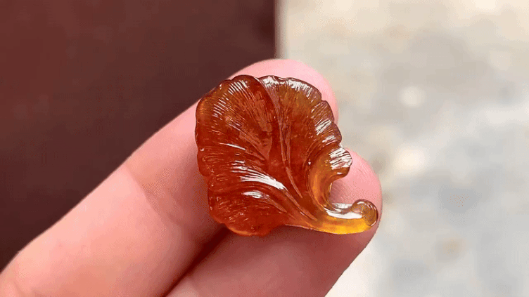 76562 翡翠蜜糖黃銀杏葉