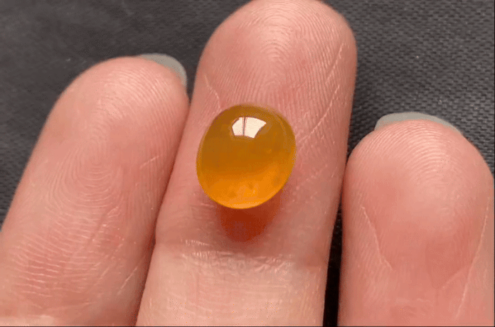 76663 雞油黃蛋面