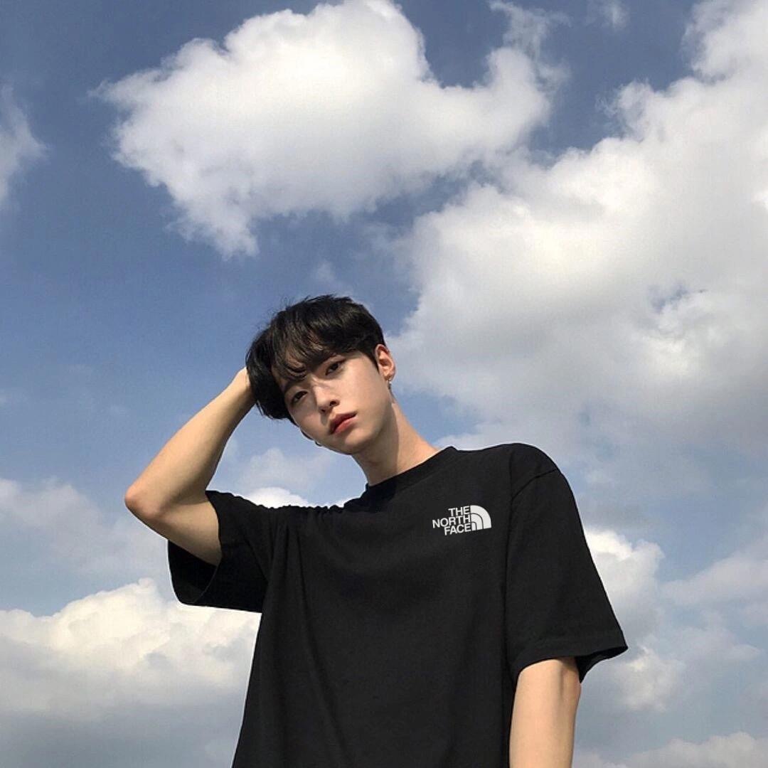 韓國代購 The North Face 北臉 基本款 經典 Tee
